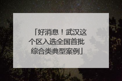 好消息！武汉这个区入选全国首批综合类典型案例