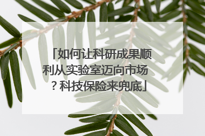 如何让科研成果顺利从实验室迈向市场？科技保险来兜底
