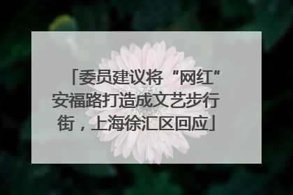 委员建议将“网红”安福路打造成文艺步行街，上海徐汇区回应