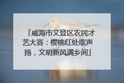 威海市文登区农民才艺大赛：樱桃红处歌声扬，文明新风满乡间