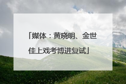 媒体：黄晓明、金世佳上戏考博进复试