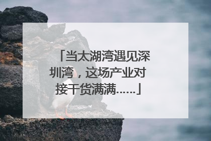 当太湖湾遇见深圳湾，这场产业对接干货满满……