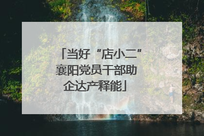 当好“店小二” 襄阳党员干部助企达产释能