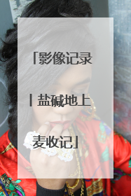 影像记录丨盐碱地上麦收记