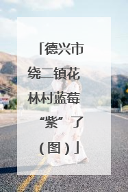 德兴市绕二镇花林村蓝莓“紫”了（图）
