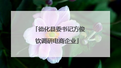 德化县委书记方俊钦调研电商企业