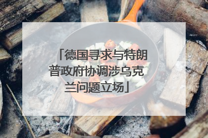 德国寻求与特朗普政府协调涉乌克兰问题立场