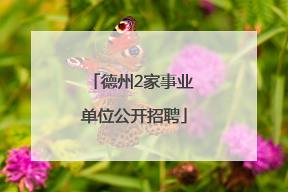 德州2家事业单位公开招聘