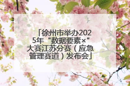 徐州市举办2025年“数据要素×”大赛江苏分赛（应急管理赛道）发布会