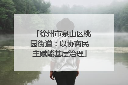 徐州市泉山区桃园街道：以协商民主赋能基层治理
