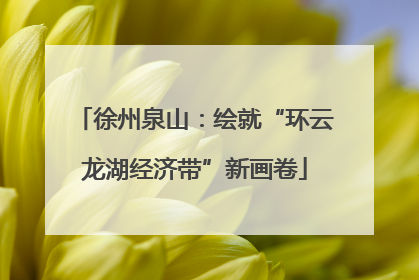 徐州泉山：绘就“环云龙湖经济带”新画卷