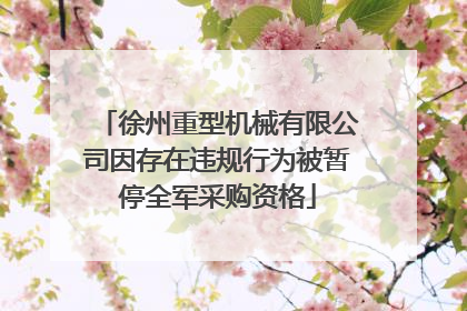 徐州重型机械有限公司因存在违规行为被暂停全军采购资格