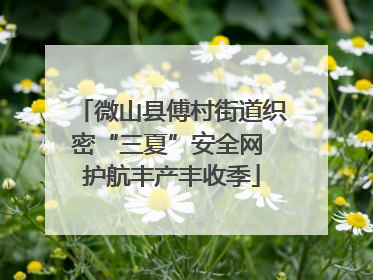 微山县傅村街道织密“三夏”安全网 护航丰产丰收季