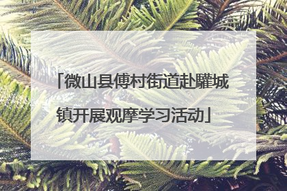 微山县傅村街道赴驩城镇开展观摩学习活动