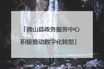 微山县政务服务中心积极推动数字化转型