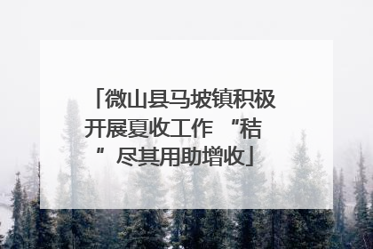 微山县马坡镇积极开展夏收工作 “秸”尽其用助增收
