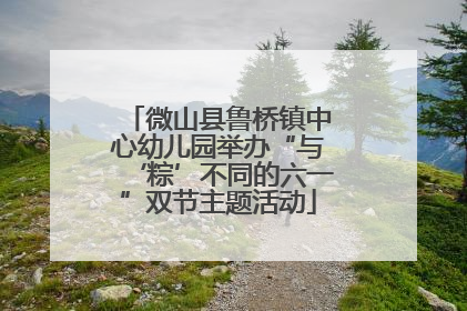微山县鲁桥镇中心幼儿园举办“与‘粽’不同的六一”双节主题活动