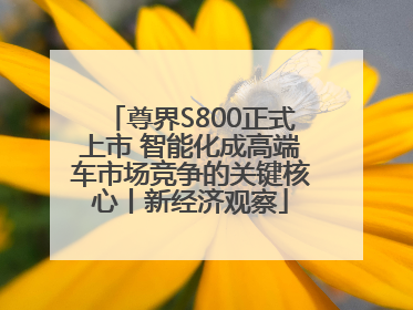 尊界S800正式上市 智能化成高端车市场竞争的关键核心丨新经济观察