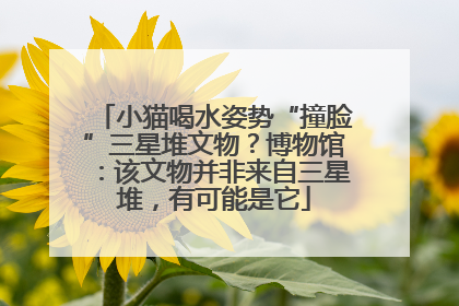 小猫喝水姿势“撞脸”三星堆文物？博物馆：该文物并非来自三星堆，有可能是它