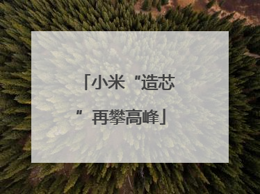 小米“造芯”再攀高峰
