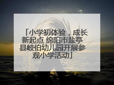 小学初体验，成长新起点 绵阳市盐亭县岐伯幼儿园开展参观小学活动