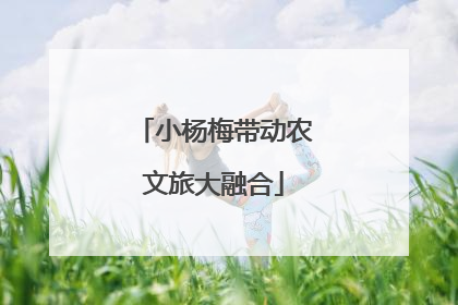 小杨梅带动农文旅大融合