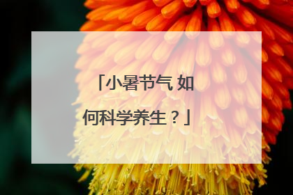小暑节气 如何科学养生？