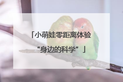小萌娃零距离体验“身边的科学”