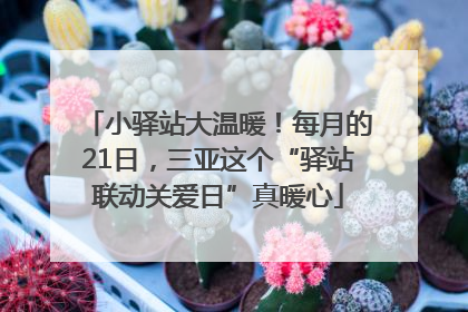 小驿站大温暖！每月的21日，三亚这个“驿站联动关爱日”真暖心