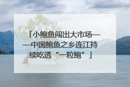 小鲍鱼闯出大市场——中国鲍鱼之乡连江持续吃透“一粒鲍”