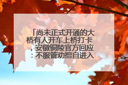 尚未正式开通的大桥有人开车上桥打卡，安徽铜陵官方回应：不服管劝擅自进入，已采取措施