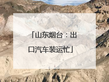 山东烟台：出口汽车装运忙
