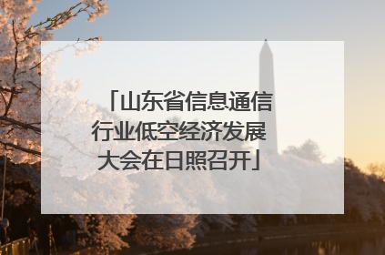 山东省信息通信行业低空经济发展大会在日照召开