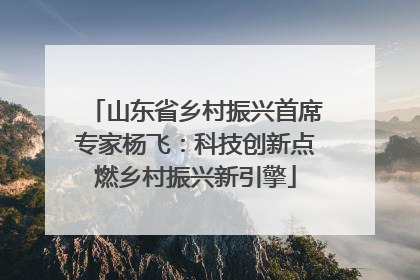 山东省乡村振兴首席专家杨飞：科技创新点燃乡村振兴新引擎