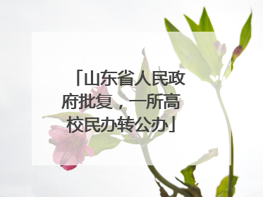 山东省人民政府批复，一所高校民办转公办