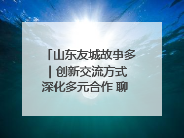 山东友城故事多｜创新交流方式 深化多元合作 聊城加速构建全球友城新格局