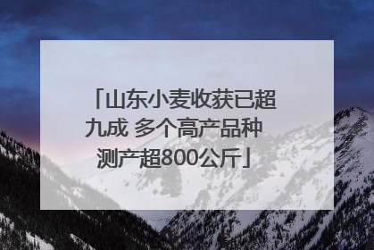 山东小麦收获已超九成 多个高产品种测产超800公斤