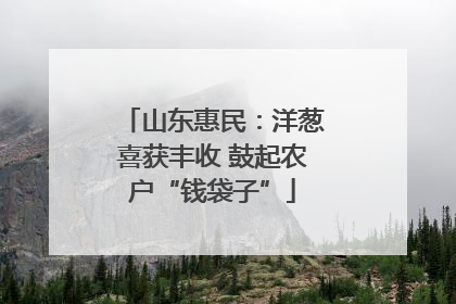 山东惠民：洋葱喜获丰收 鼓起农户“钱袋子”