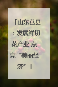 山东莒县：发展鲜切花产业 点亮“美丽经济”