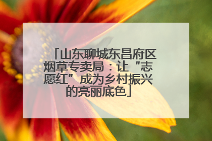 山东聊城东昌府区烟草专卖局：让“志愿红”成为乡村振兴的亮丽底色