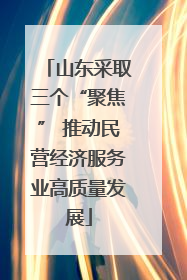 山东采取三个“聚焦” 推动民营经济服务业高质量发展