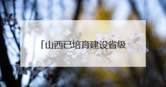 山西已培育建设省级文物科研基地26个