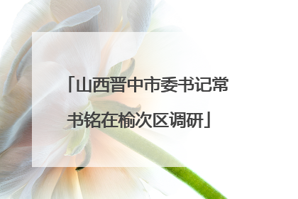 山西晋中市委书记常书铭在榆次区调研