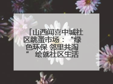 山西闻喜中城社区跳蚤市场：“绿色环保 邻里共淘” 绘就社区生活多彩画卷