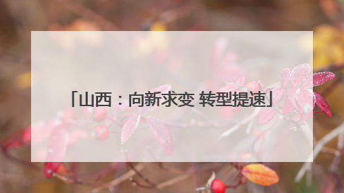山西：向新求变 转型提速
