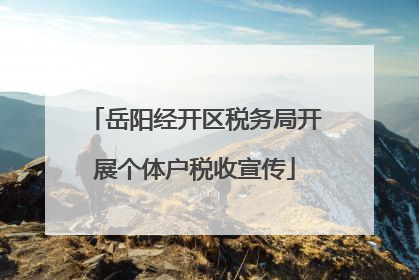 岳阳经开区税务局开展个体户税收宣传