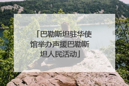 巴勒斯坦驻华使馆举办声援巴勒斯坦人民活动