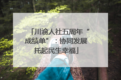 川渝人社五周年“成绩单”：协同发展托起民生幸福