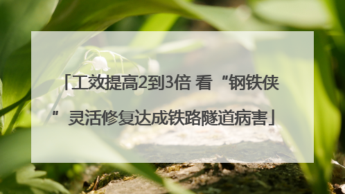 工效提高2到3倍 看“钢铁侠”灵活修复达成铁路隧道病害