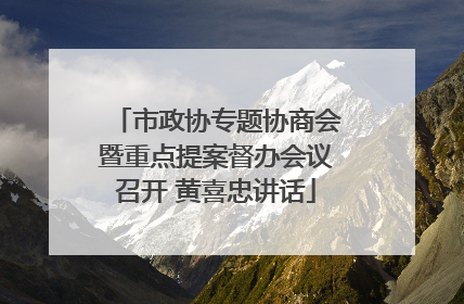 市政协专题协商会暨重点提案督办会议召开 黄喜忠讲话